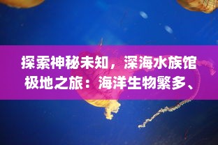 探索神秘未知，深海水族馆极地之旅：海洋生物繁多、极地生态奇观盛展