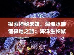 探索神秘未知，深海水族馆极地之旅：海洋生物繁多、极地生态奇观盛展