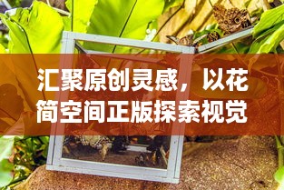 汇聚原创灵感，以花简空间正版探索视觉艺术之美，释放创意无限可能。 v6.5.8下载