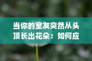 当你的室友突然从头顶长出花朵：如何应对与理解这一神奇现象的科普指南