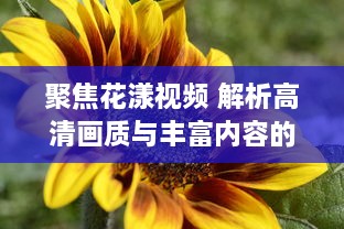 聚焦花漾视频 解析高清画质与丰富内容的完美融合，赋予生活更多色彩 如何打造视觉盛宴 v7.9.2下载