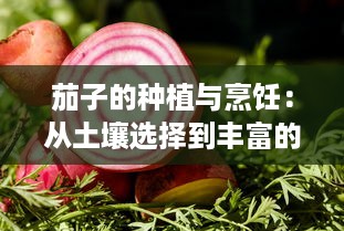 茄子的种植与烹饪：从土壤选择到丰富的家常菜谱 v7.9.8下载