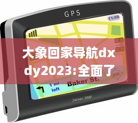 大象回家导航dxdy2023:全面了解其高效快捷的路径规划、实时路况更新以及个性化设置等强大功能特性