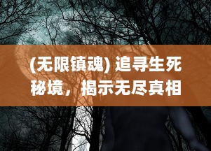 (无限镇魂) 追寻生死秘境，揭示无尽真相：关于镇魂记 的奇幻冒险之旅