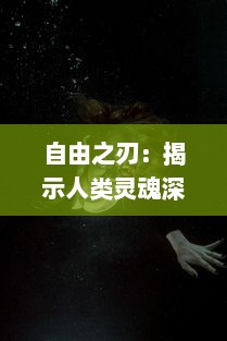 自由之刃：揭示人类灵魂深处对自由无尽渴望的世界历史剖析与评述