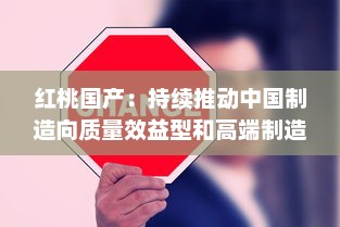 红桃国产：持续推动中国制造向质量效益型和高端制造转变的创新之路 v9.7.8下载