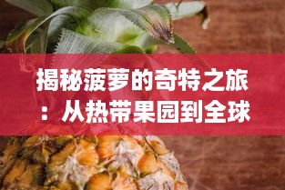 揭秘菠萝的奇特之旅：从热带果园到全球餐桌的美味营养传递 v6.3.9下载