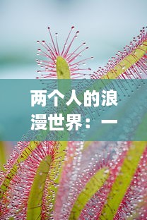 两个人的浪漫世界：一起拔萝卜，一起欢笑，共创属于我们的甜蜜生活与猴子 v0.8.5下载