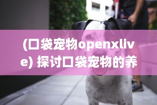 (口袋宠物openxlive) 探讨口袋宠物的养护与繁育：打造健康俏皮的亲密小伙伴