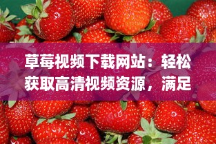 草莓视频下载网站：轻松获取高清视频资源，满足您全方位的观影需求