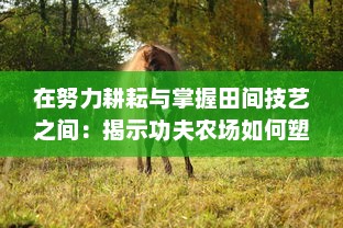 在努力耕耘与掌握田间技艺之间：揭示功夫农场如何塑造新式农耕模式的深度探究