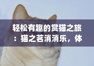 轻松有趣的赏猫之旅：猫之茗消消乐，体验最独特的消除游戏乐趣