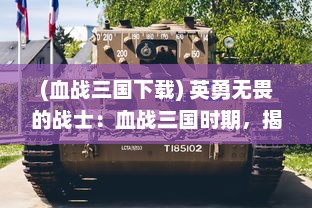 (血战三国下载) 英勇无畏的战士：血战三国时期，揭秘古代战争的荣耀与苦难