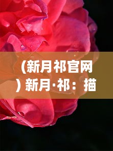 (新月祁官网) 新月·祁：描绘中华古韵与祁门红叶交织的美丽新篇章