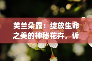 芙兰朵露：绽放生命之美的神秘花卉，诉说无尽的浪漫与传奇 v4.0.5下载