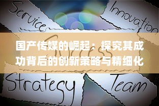 国产传媒的崛起：探究其成功背后的创新策略与精细化运营模式 v2.1.3下载