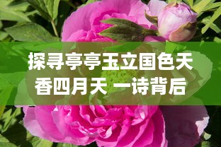 探寻亭亭玉立国色天香四月天 一诗背后的灵魂作者是谁：深入豪情诗词之中的创作奥秘 v7.3.7下载