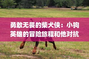 勇敢无畏的柴犬侠：小狗英雄的冒险旅程和他对抗邪恶势力的壮丽传说