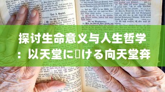 探讨生命意义与人生哲学：以天堂に駆ける向天堂奔去 歌词为视角的深度解析与思考 v8.0.8下载