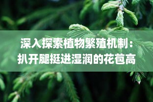 深入探索植物繁殖机制：扒开腿挺进湿润的花苞高清视频展示