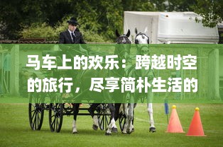 马车上的欢乐：跨越时空的旅行，尽享简朴生活的温暖与欢笑 v7.0.5下载