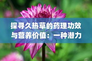 探寻久热草的药理功效与营养价值：一种潜力无穷的草本植物资源