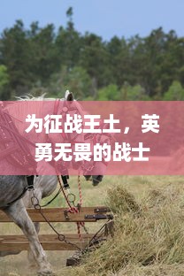 为征战王土，英勇无畏的战士骑士在雄伟原野上展开惊天动地之顽强抵抗