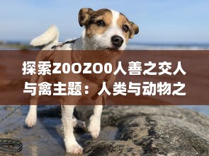 探索Z0OZO0人善之交人与禽主题：人类与动物之间互动的深度立体观察 v3.7.1下载