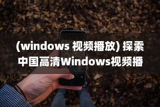 (windows 视频播放) 探索中国高清Windows视频播放：深度分析与技术优化提升视觉体验