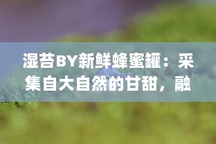 湿苔BY新鲜蜂蜜罐：采集自大自然的甘甜，融合绿色生态与健康美味的完美选择