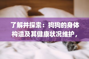 了解并探索：狗狗的身体构造及其健康状况维护，如何通过科学方式进入狗狗的身体甲? v5.4.2下载