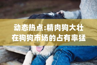 动态热点:精肉狗大壮在狗狗市场的占有率猛增，引领犬类宠物新风潮 v4.2.5下载