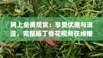 网上免费观赏：享受优雅与浪漫，完整版丁香花视频在线播放，靠近大自然的桥梁 v1.5.2下载