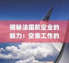 揭秘法国航空业的魅力：空乘工作的挑战与乐趣 v0.0.6下载