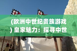 (欧洲中世纪贵族游戏) 皇家魅力：探寻中世纪欧洲皇族的游戏文化与社会影响力研究