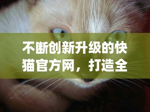 不断创新升级的快猫官方网，打造全新体验的资讯、影视、游戏一站式服务平台 v6.9.6下载