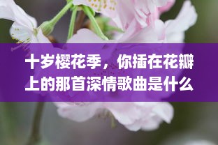 十岁樱花季，你插在花瓣上的那首深情歌曲是什么：一段青春记忆的音符流转 v9.4.6下载