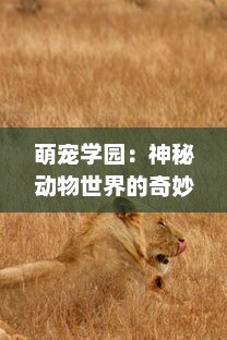 萌宠学园：神秘动物世界的奇妙冒险，揭秘各种萌宠的精彩日常和独特技能