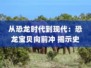 从恐龙时代到现代：恐龙宝贝向前冲 揭示史前生物的奇幻冒险旅程