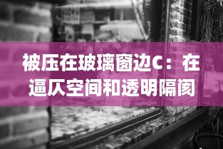 被压在玻璃窗边C：在逼仄空间和透明隔阂之间寻求生存的心路历程 v3.4.2下载