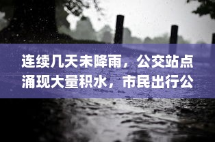 连续几天未降雨，公交站点涌现大量积水，市民出行公交车遭遇'水困'问题急需解决