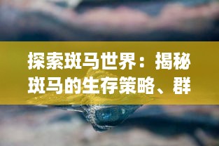 探索斑马世界：揭秘斑马的生存策略、群居习性及其在生态环境中的重要作用