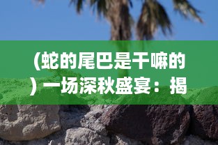 (蛇的尾巴是干嘛的) 一场深秋盛宴：揭秘蛇的尾巴还在我的花丛中的神秘与浪漫