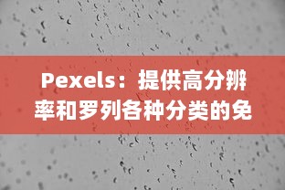 Pexels：提供高分辨率和罗列各种分类的免费照片库，让美学与创意无限可能