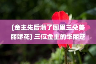 (金主先后潜了圈里三朵美丽娇花) 三位金主的华丽逆袭：1v3骄纵，不简单的豪门生活揭秘