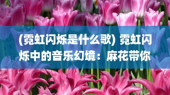 (霓虹闪烁是什么歌) 霓虹闪烁中的音乐幻境：麻花带你穿越星空无限MV的壮丽音乐之旅