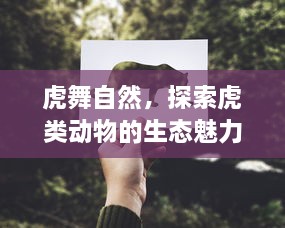 虎舞自然，探索虎类动物的生态魅力与保护挑战