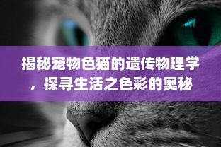 揭秘宠物色猫的遗传物理学，探寻生活之色彩的奥秘