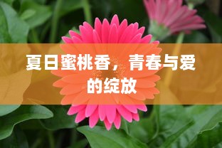 夏日蜜桃香，青春与爱的绽放