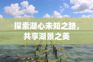 探索湖心未知之路，共享湖景之美